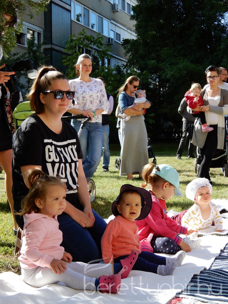 Életfa ültetés a város napján 03